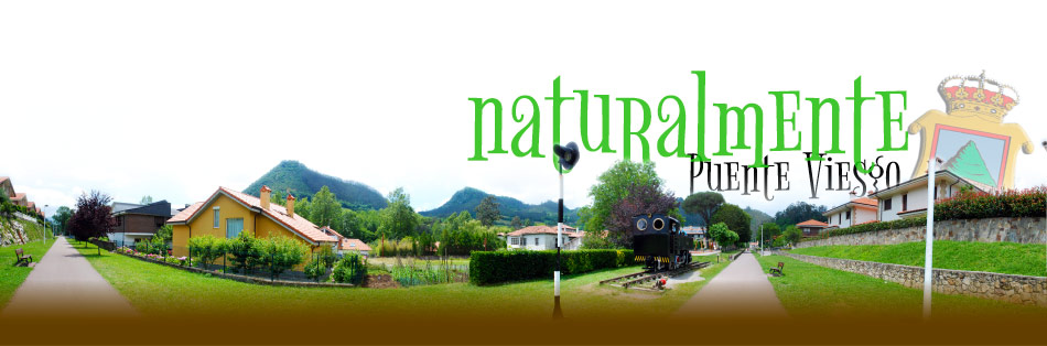Ayuntamiento de Puente. Naturalemente bueno